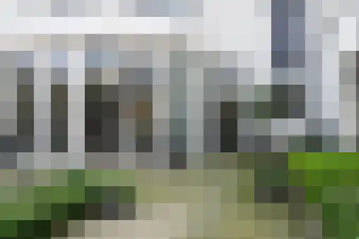 Tarweplaat 17 Bergen op Zoom thumbnail 24