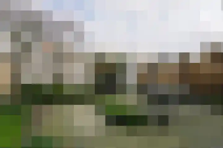 Tarweplaat 17 Bergen op Zoom thumbnail 25