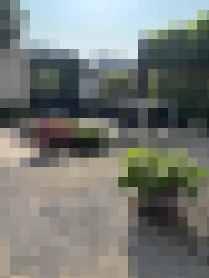 Tarweplaat 17 Bergen op Zoom thumbnail 26