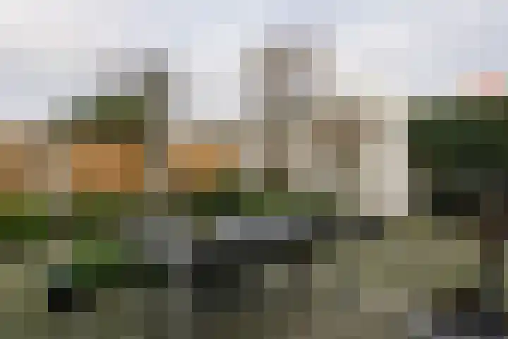 Tarweplaat 17 Bergen op Zoom thumbnail 27