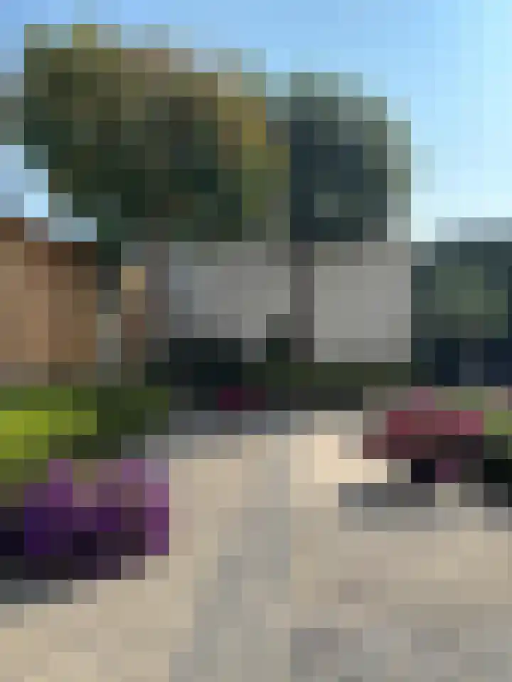 Tarweplaat 17 Bergen op Zoom thumbnail 28