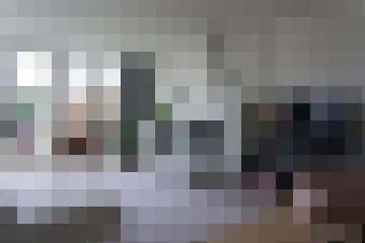 Tarweplaat 17 Bergen op Zoom thumbnail 4