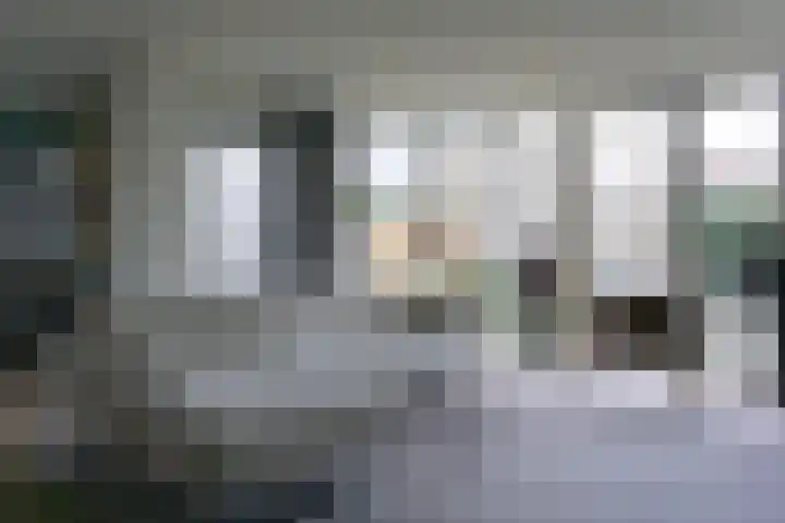 Tarweplaat 17 Bergen op Zoom thumbnail 6