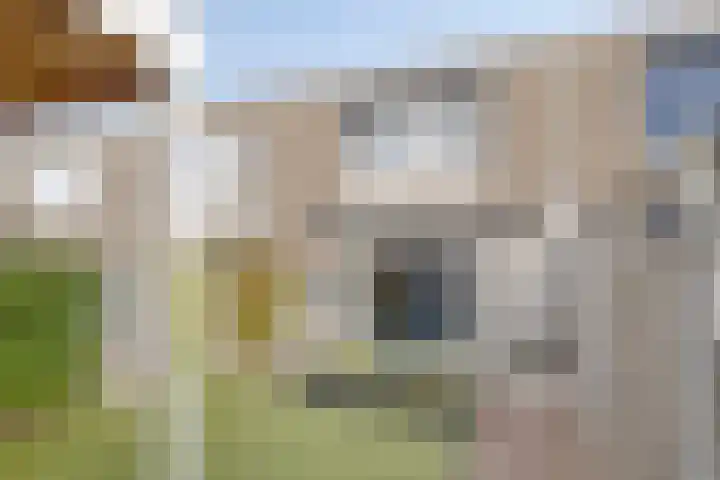 Tarweplaat 18 Bergen op Zoom thumbnail 26