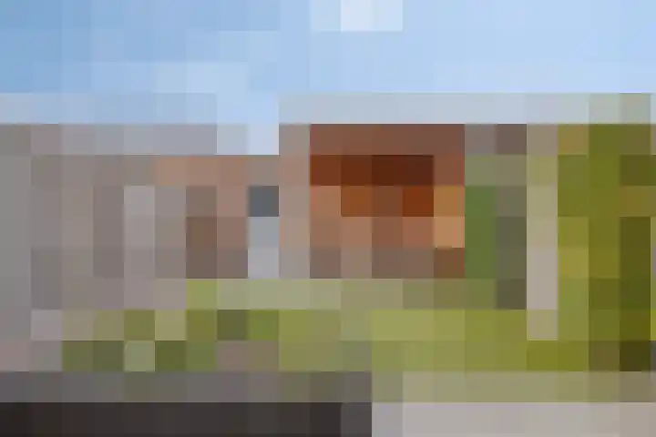 Tarweplaat 18 Bergen op Zoom thumbnail 27