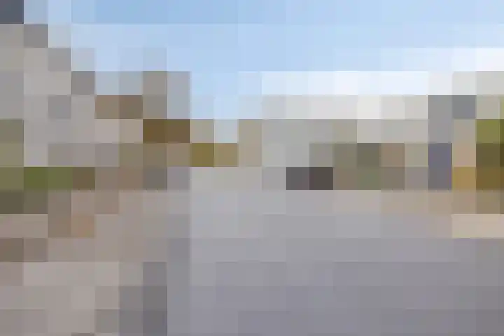 Tarweplaat 18 Bergen op Zoom thumbnail 31