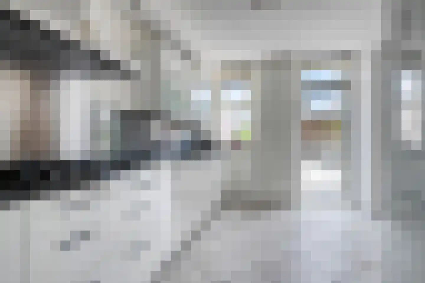 Tarweplaat 9 Bergen op Zoom thumbnail 18