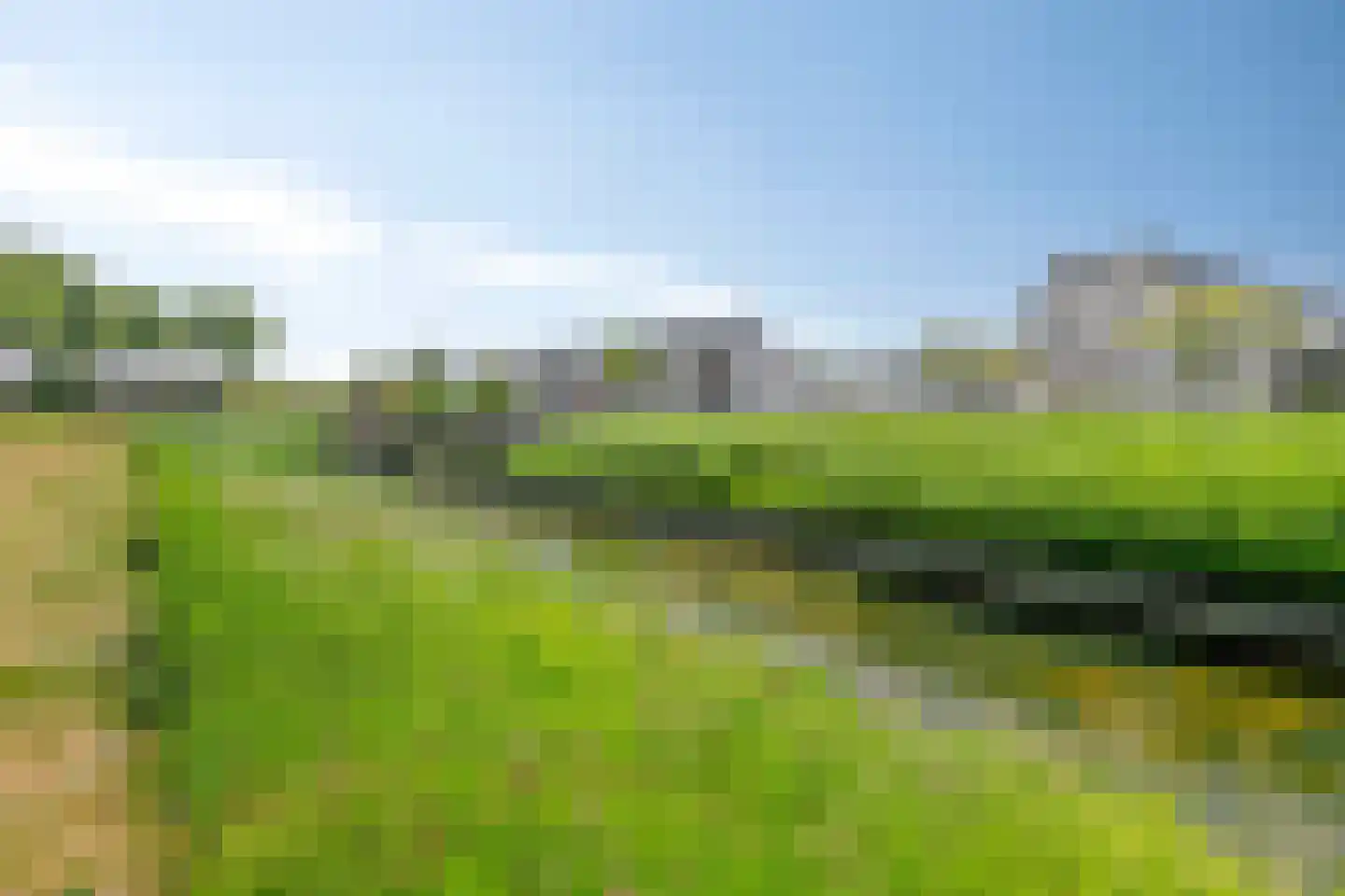 Tarweplaat 9 Bergen op Zoom thumbnail 55