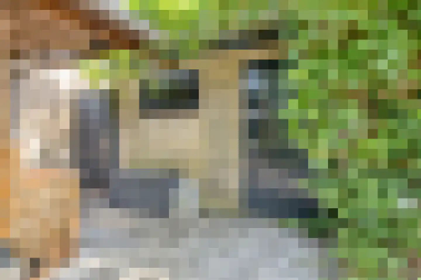 Tarwestraat 10 Hengelo thumbnail 35