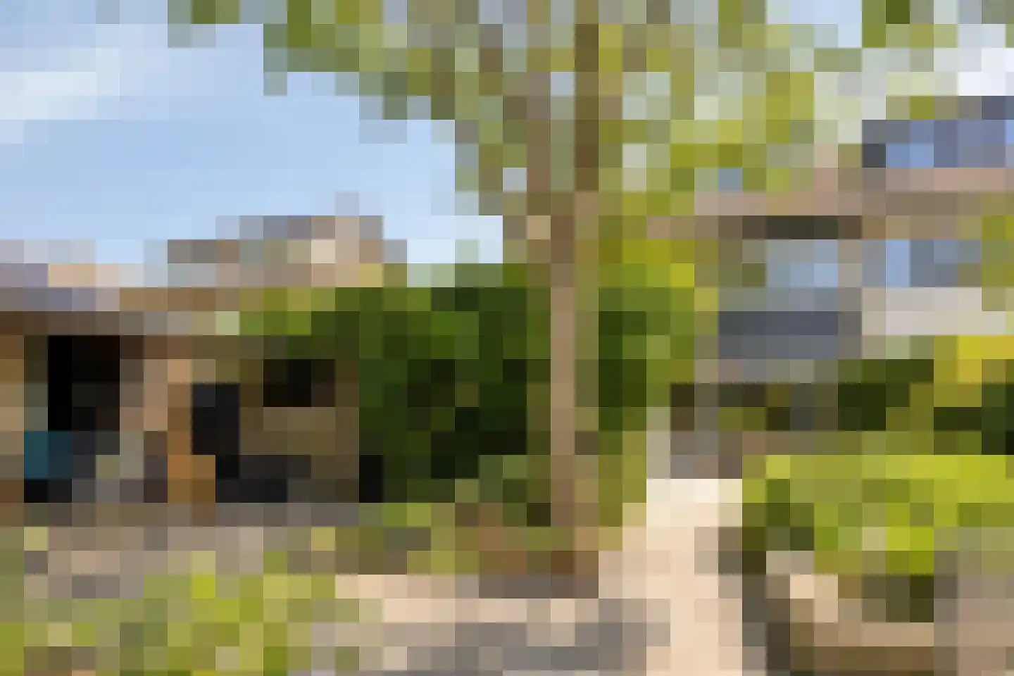 Tarwestraat 10 Hengelo thumbnail 37