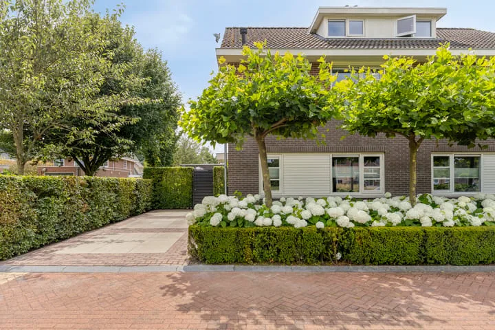 Tarwestraat 14 Halle foto 2