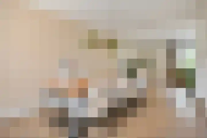 Tarwestraat 14 Olst thumbnail 10