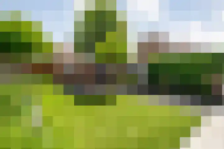 Tarwestraat 14 Olst thumbnail 48