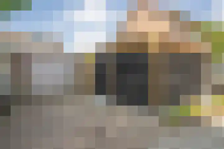 Tarwestraat 14 Olst thumbnail 51