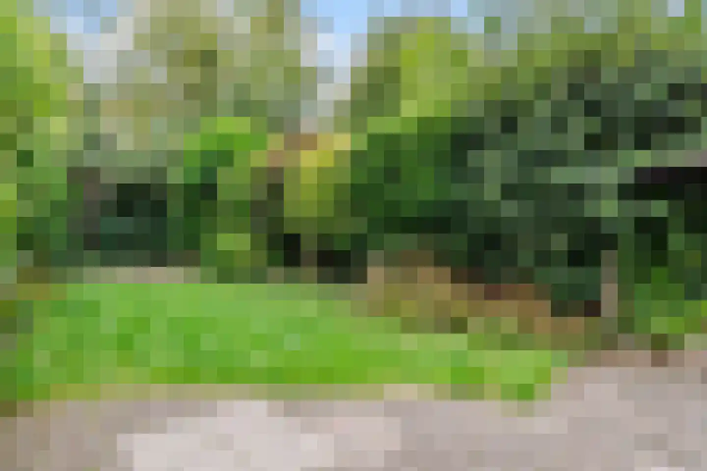 Tarwestraat 15 Purmerend thumbnail 31