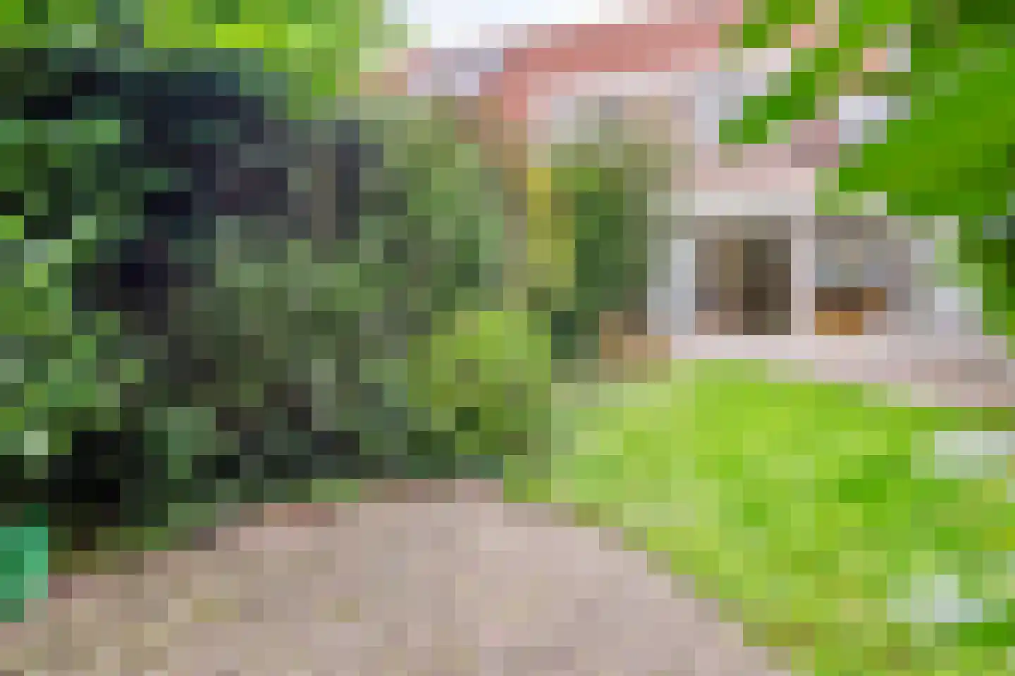 Tarwestraat 15 Purmerend thumbnail 32