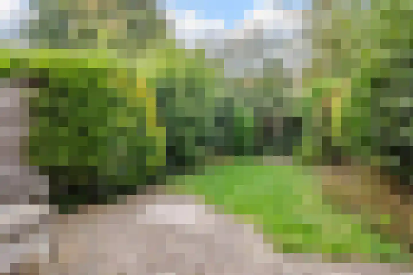 Tarwestraat 15 Purmerend thumbnail 33