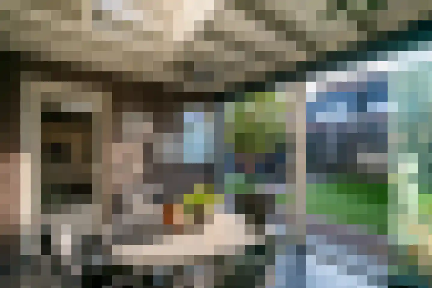 Tarwestraat 16 Berghem thumbnail 11