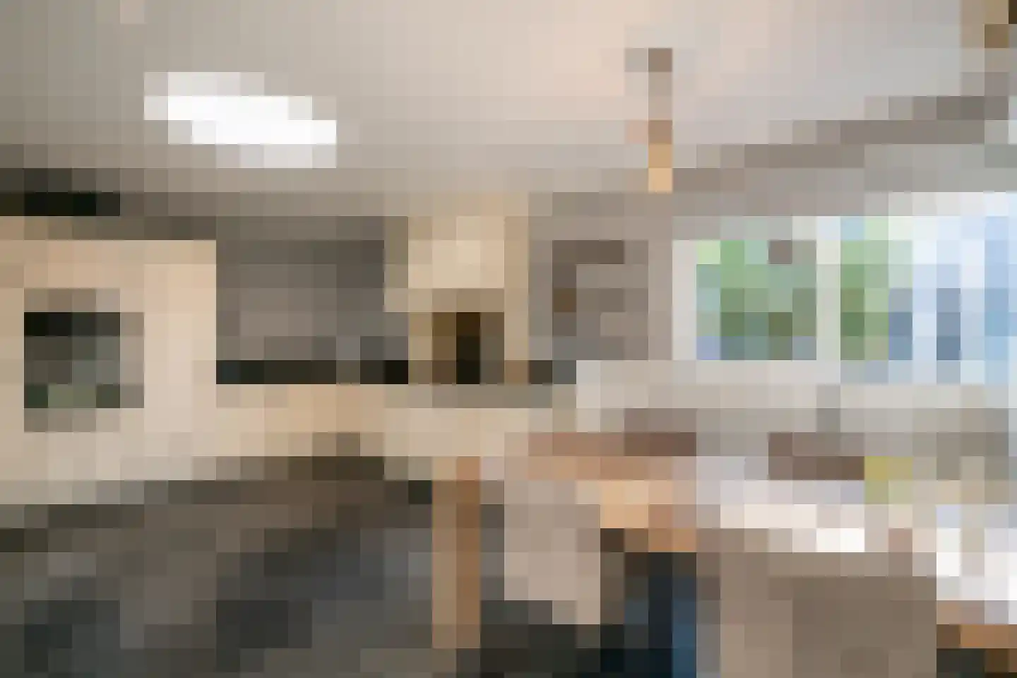 Tarwestraat 16 Berghem thumbnail 13