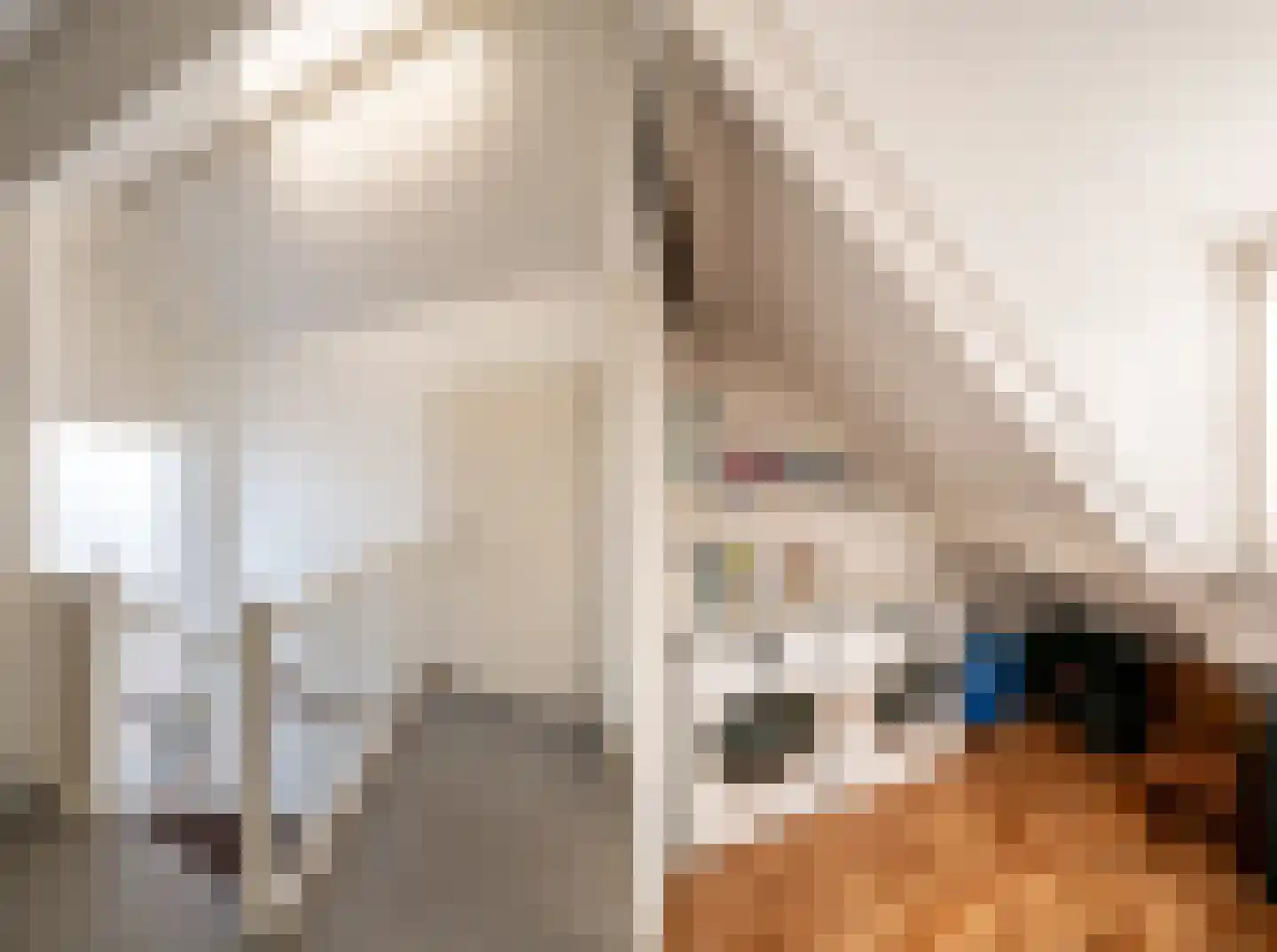Tarwestraat 16 Berghem thumbnail 21