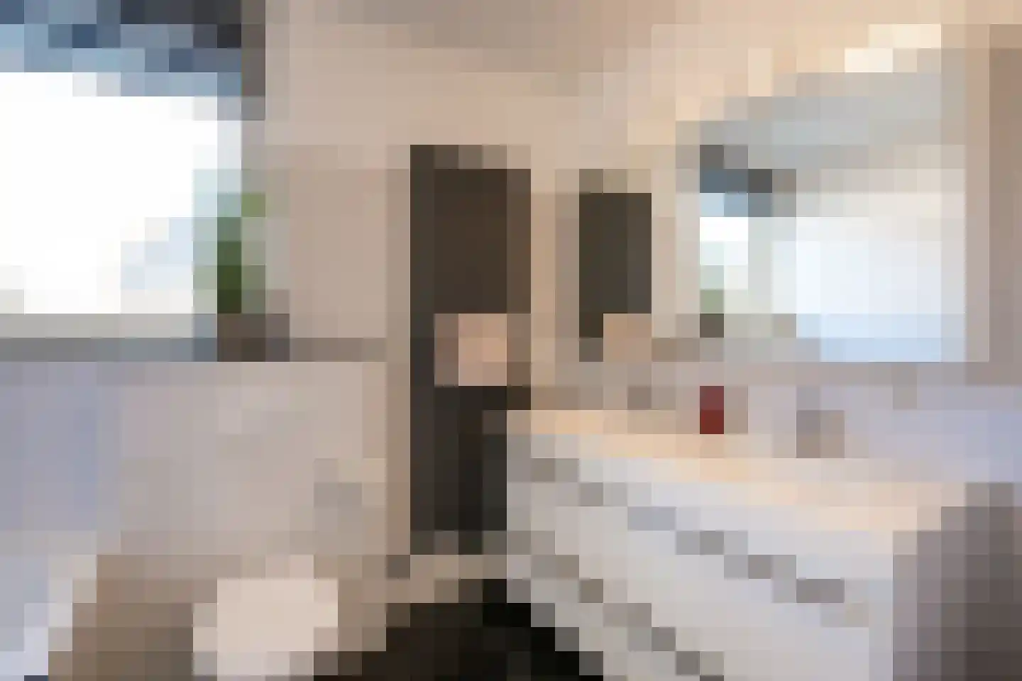 Tarwestraat 16 Berghem thumbnail 23