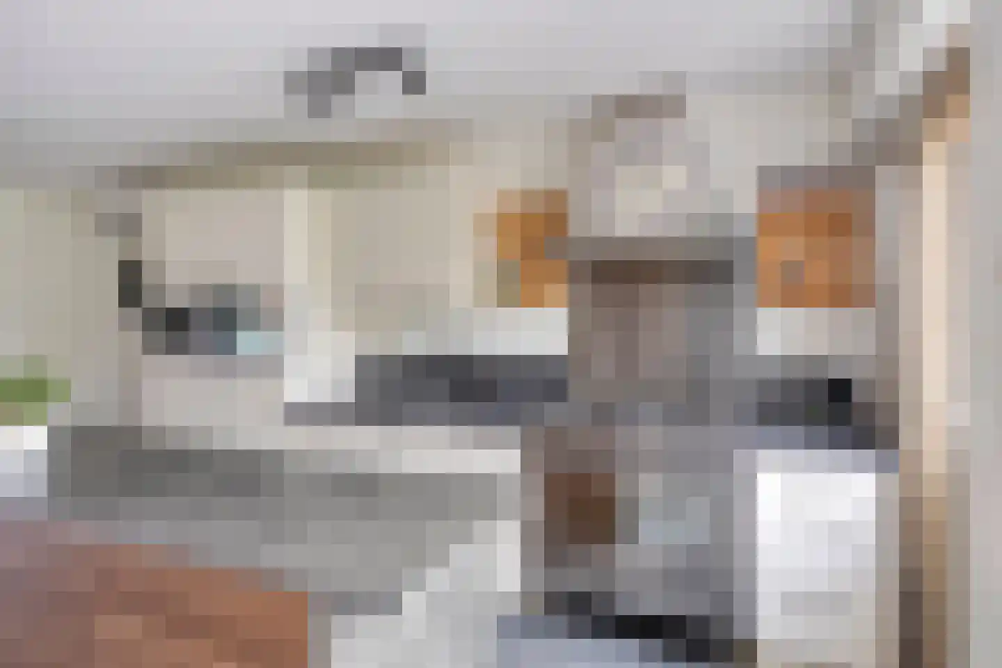 Tarwestraat 18 Ulft thumbnail 17