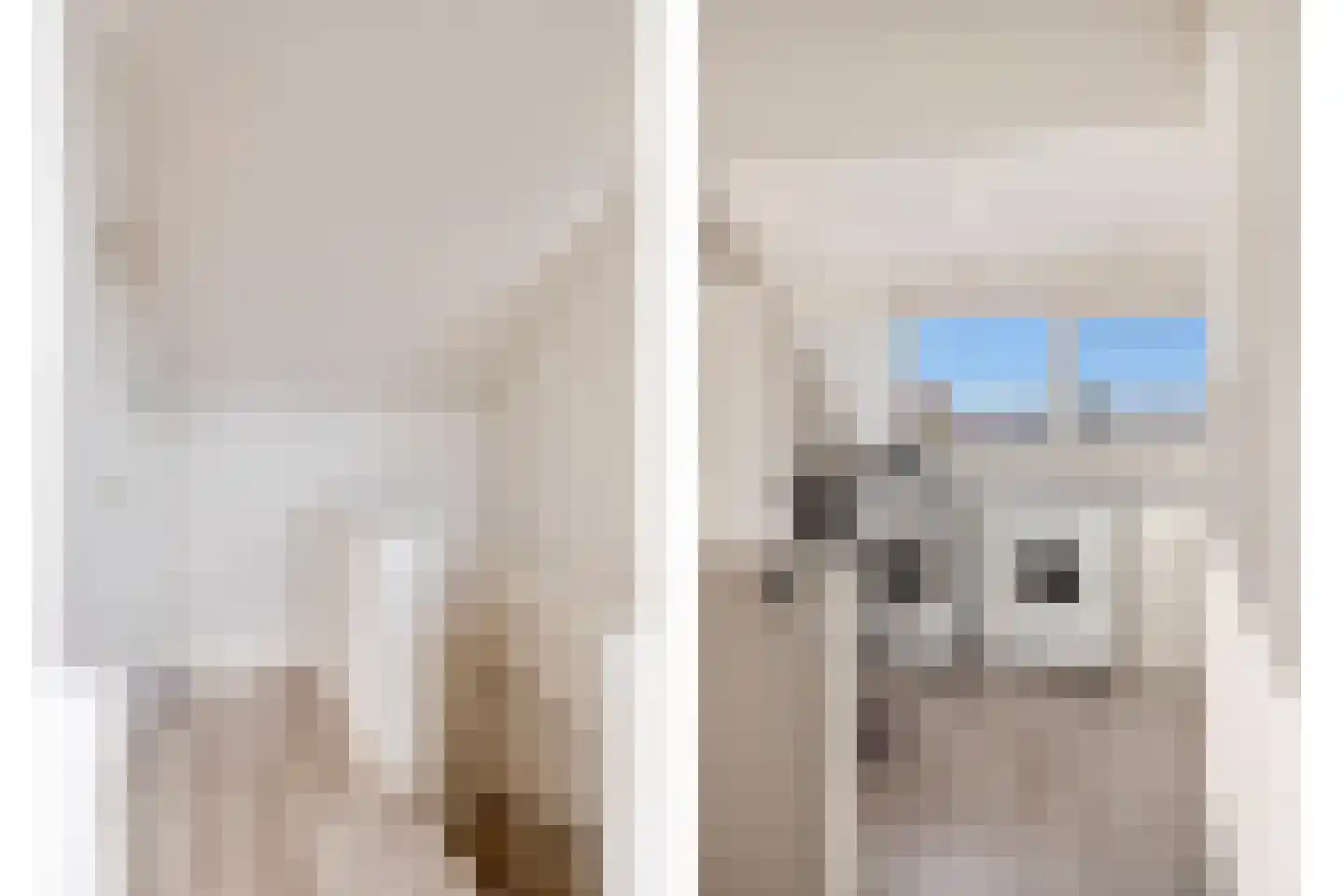 Tarwestraat 18 Ulft thumbnail 26