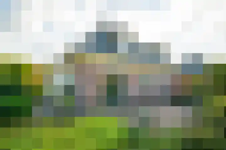 Tarwestraat 19 Halle thumbnail 47