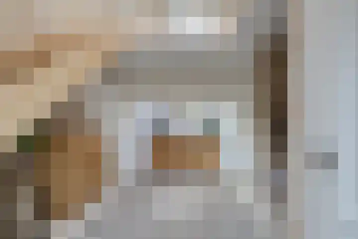 Tarwestraat 19 Halle thumbnail 9
