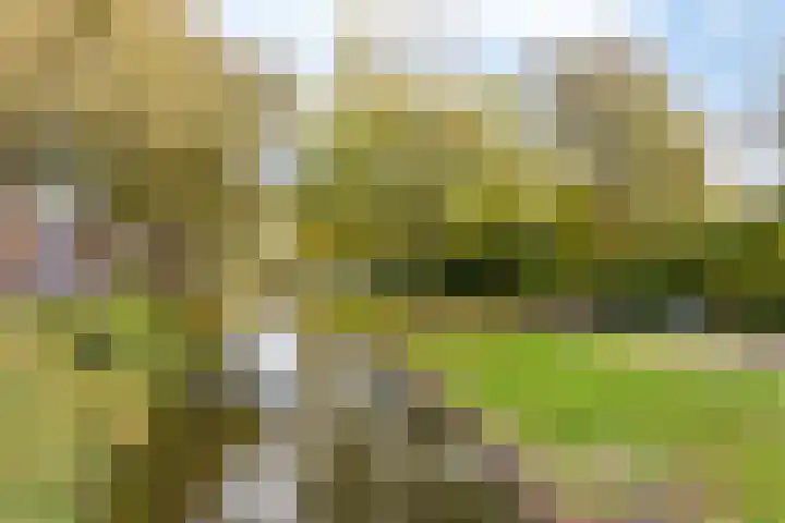 Tarwestraat 24 Purmerend thumbnail 36