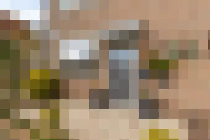 Tarwestraat 24 Purmerend thumbnail 8
