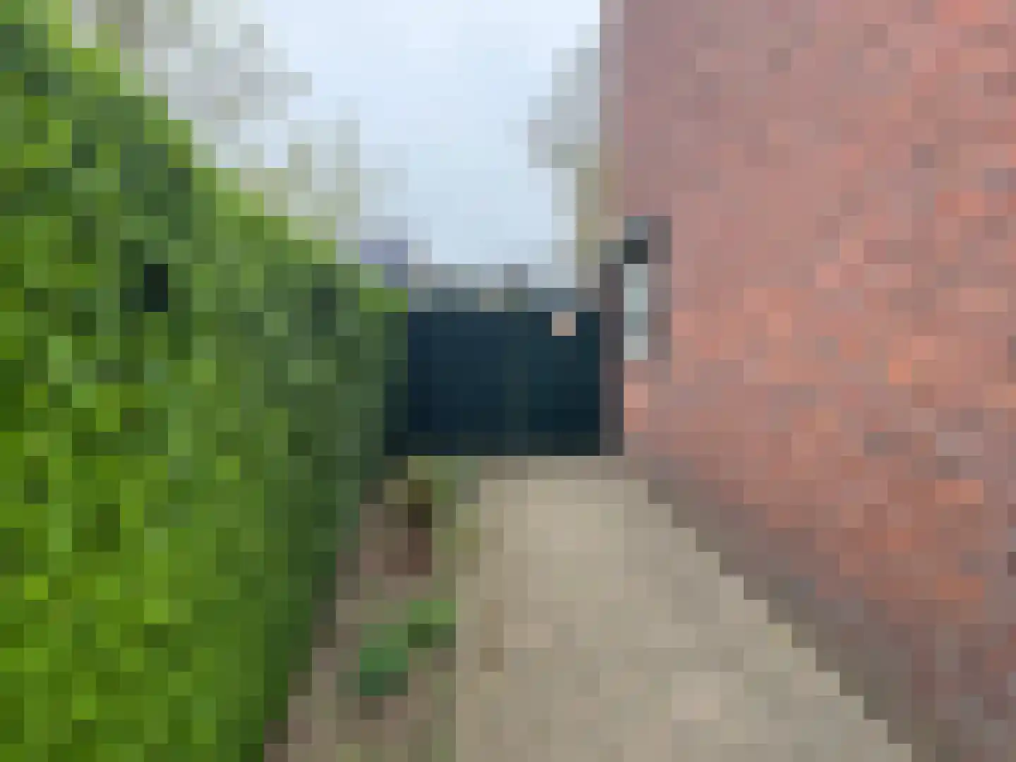 Tarwestraat 3 Ulft thumbnail 10