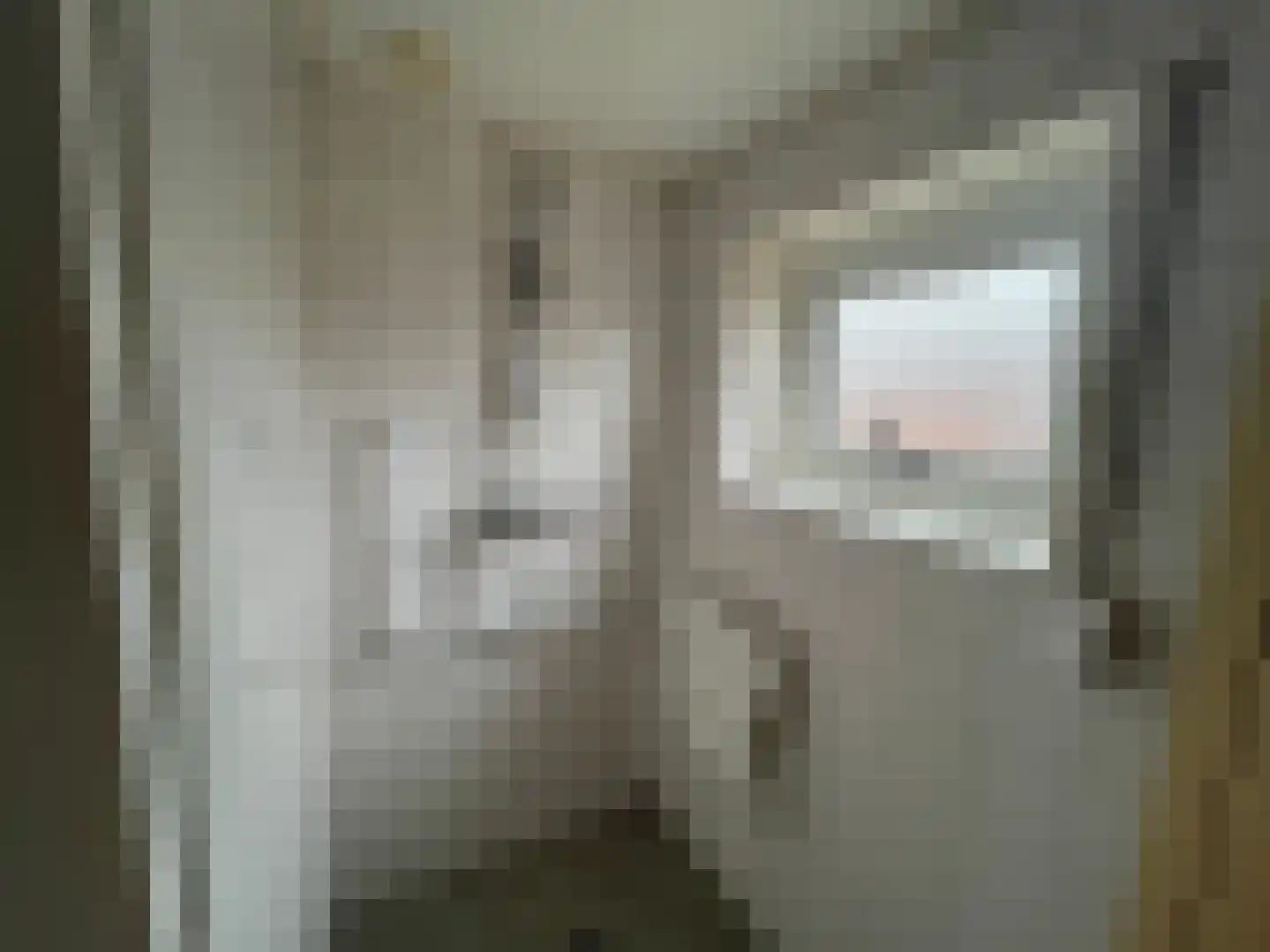 Tarwestraat 3 Ulft thumbnail 19