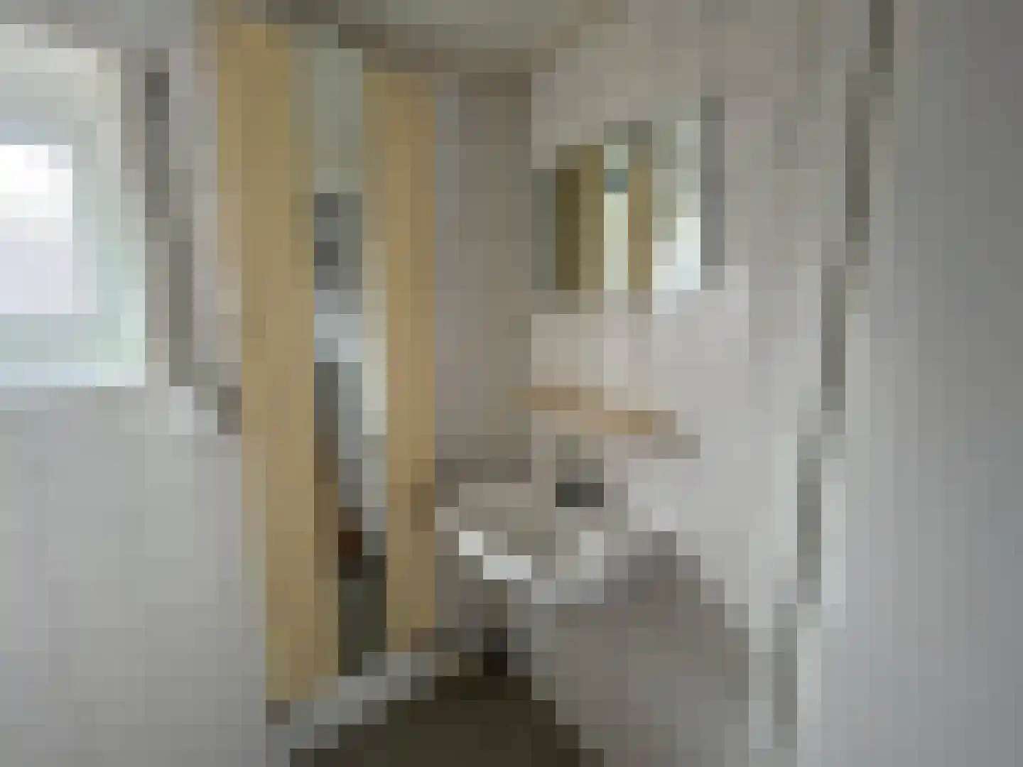 Tarwestraat 3 Ulft thumbnail 20