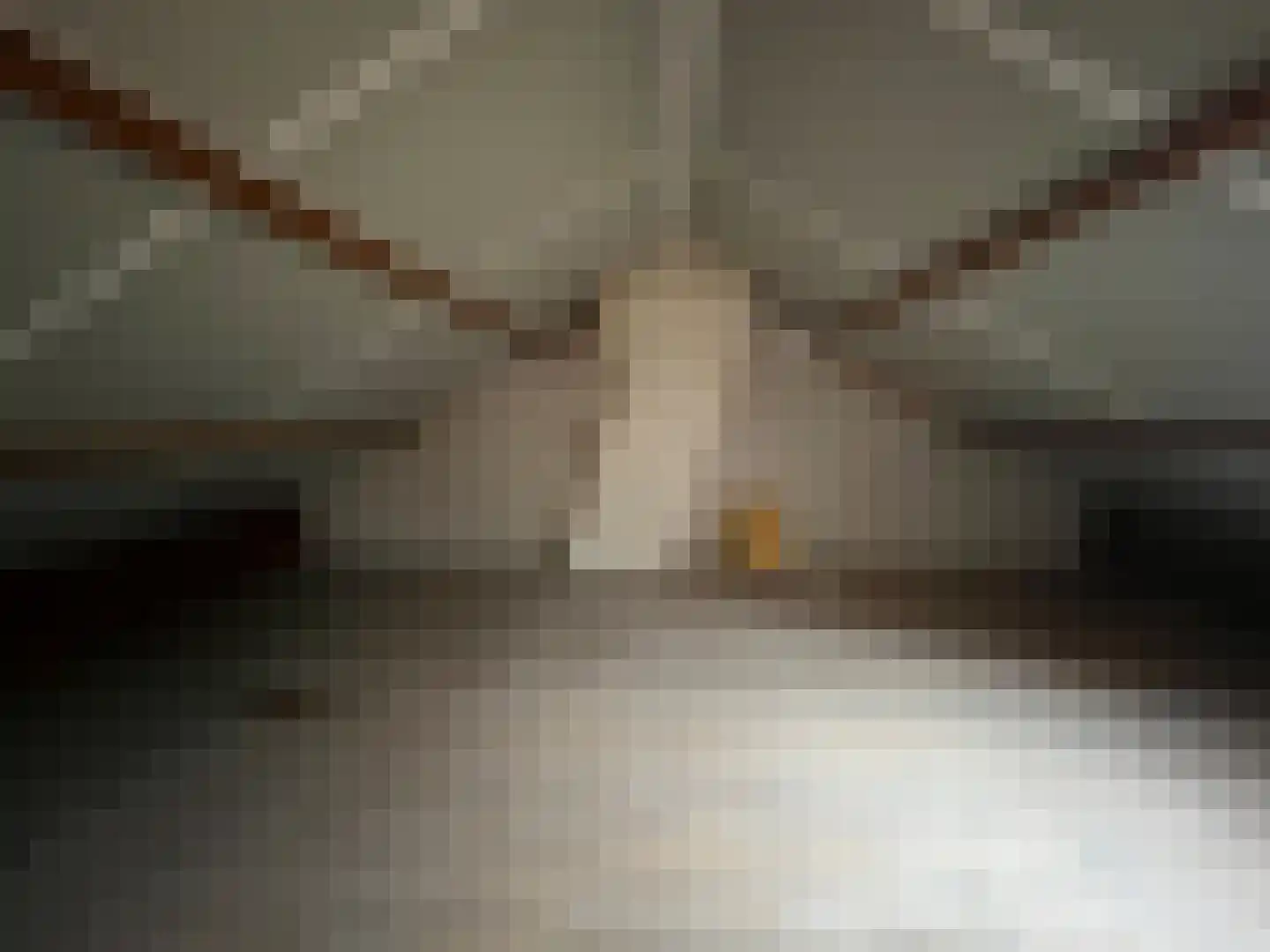 Tarwestraat 3 Ulft thumbnail 21