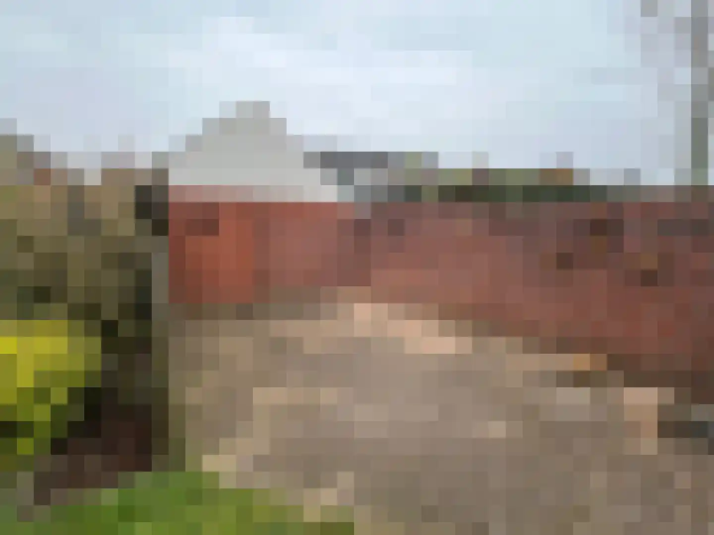 Tarwestraat 3 Ulft thumbnail 8