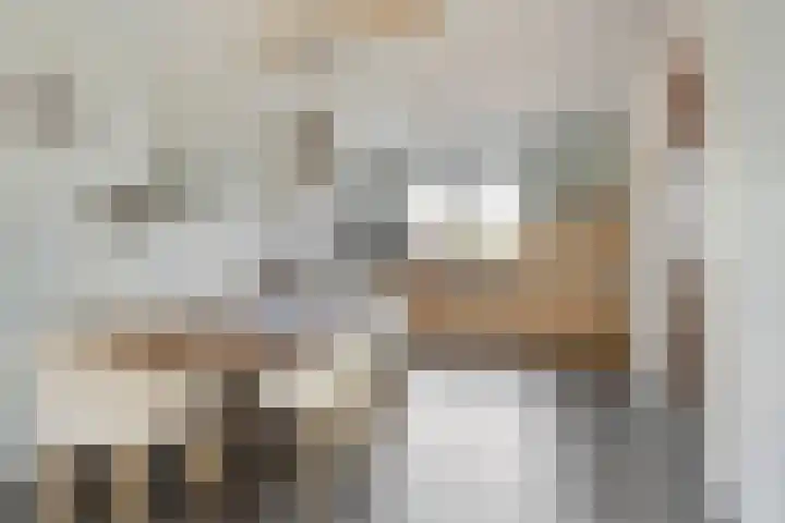 Tarwestraat 32 Halle thumbnail 12