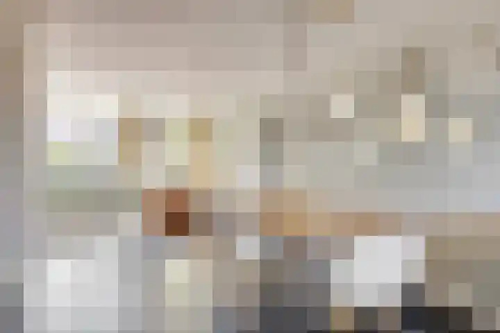 Tarwestraat 32 Halle thumbnail 13