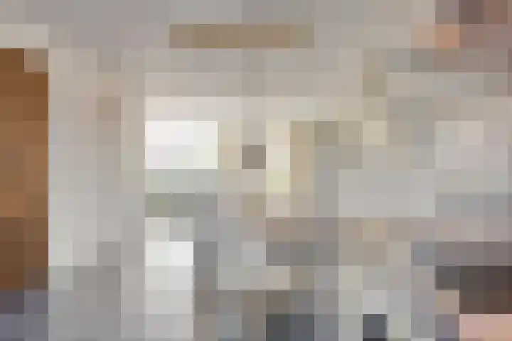 Tarwestraat 32 Halle thumbnail 15