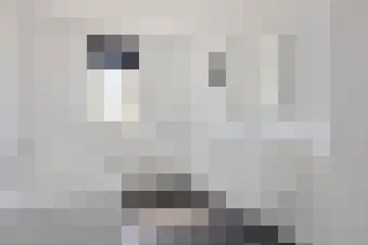 Tarwestraat 32 Halle thumbnail 20