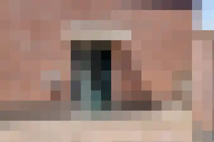 Tarwestraat 32 Halle thumbnail 30