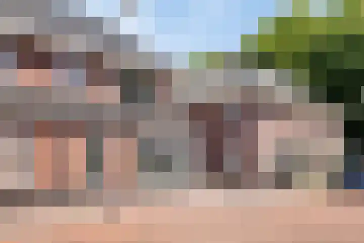 Tarwestraat 32 Halle thumbnail 6