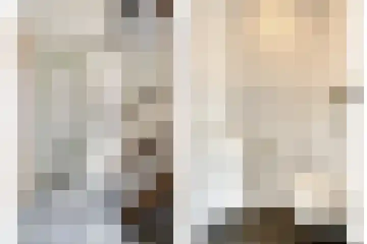 Tarwestraat 32 Halle thumbnail 7