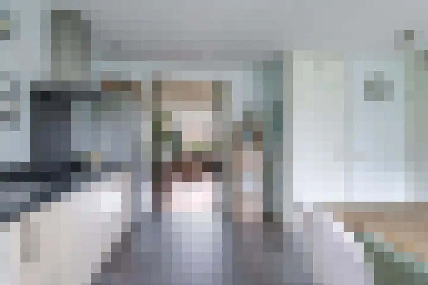 Tarwestraat 42 Halle thumbnail 21