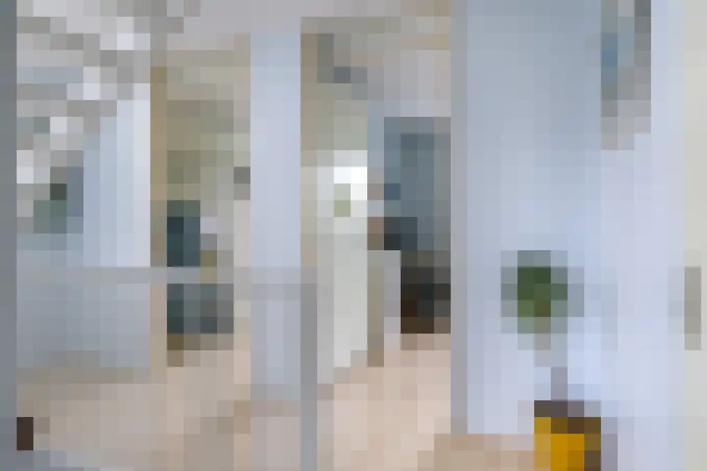 Tarwestraat 42 Halle thumbnail 23
