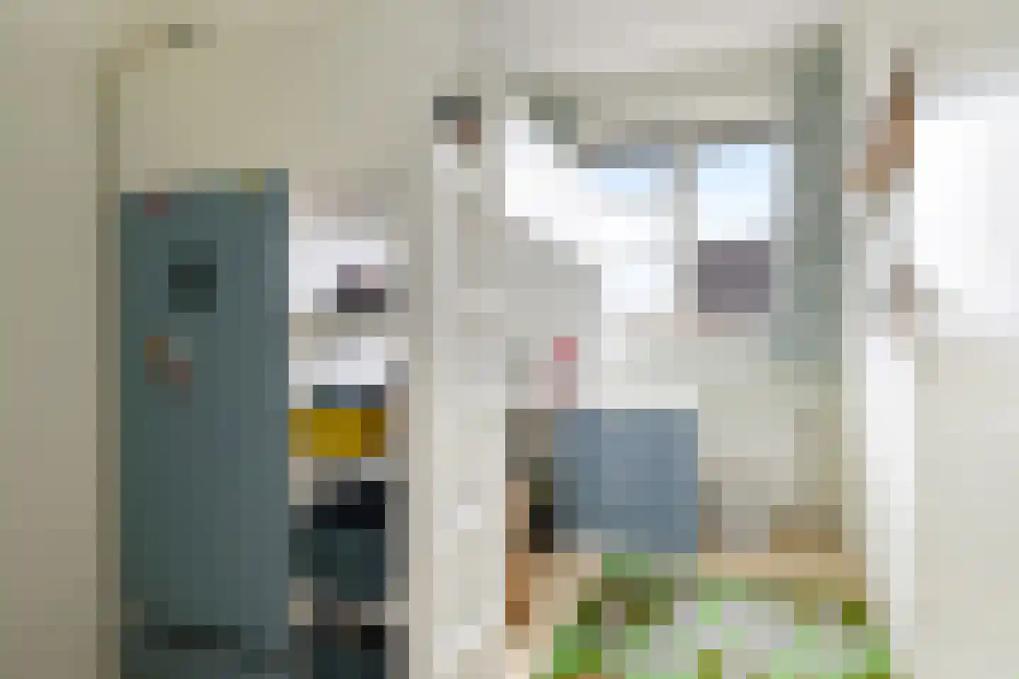 Tarwestraat 42 Halle thumbnail 25
