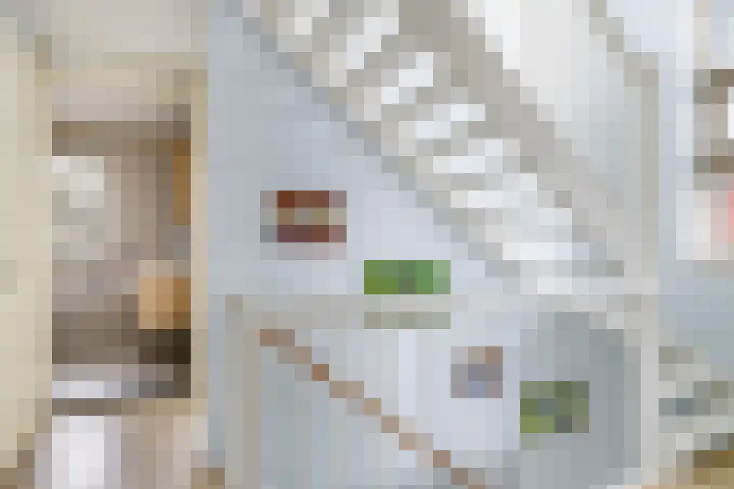 Tarwestraat 42 Halle thumbnail 32