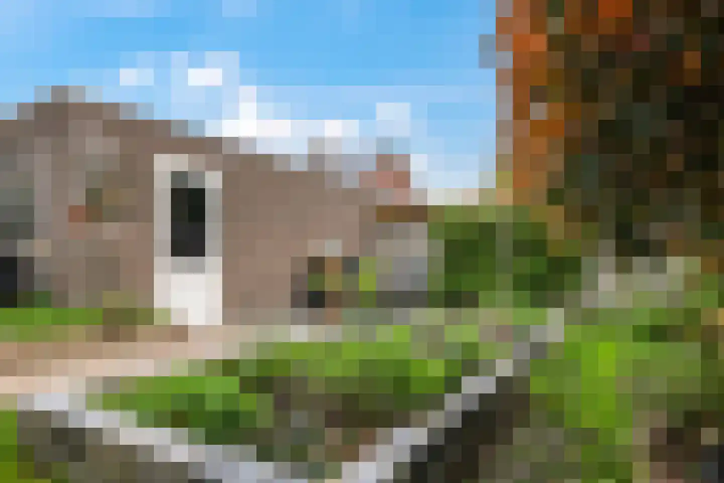Tarwestraat 42 Halle thumbnail 43