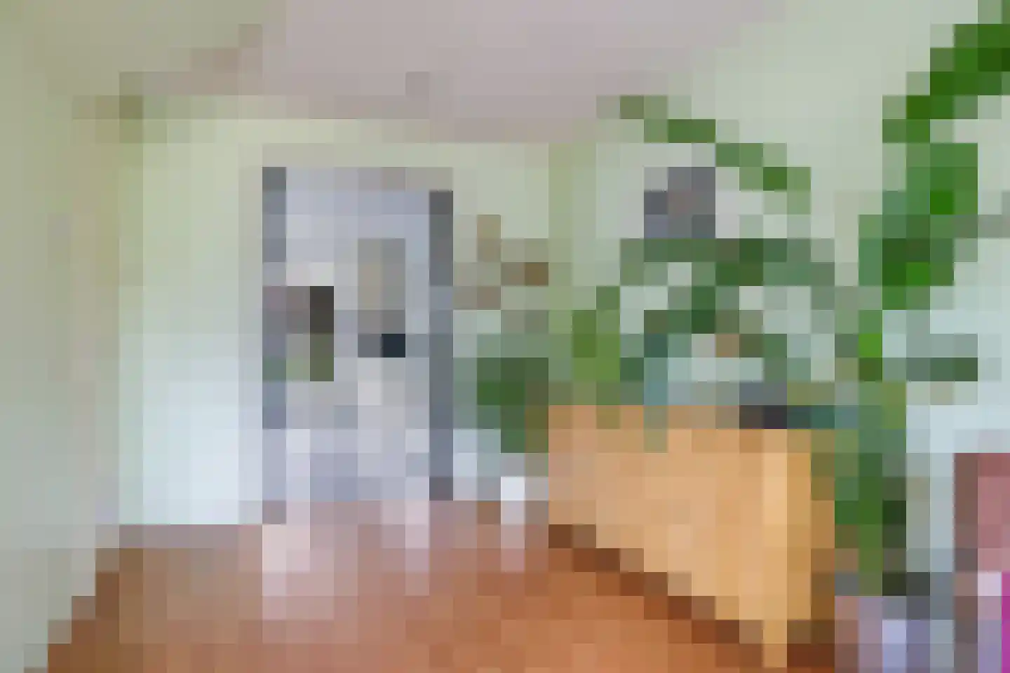 Tarwestraat 42 Halle thumbnail 8