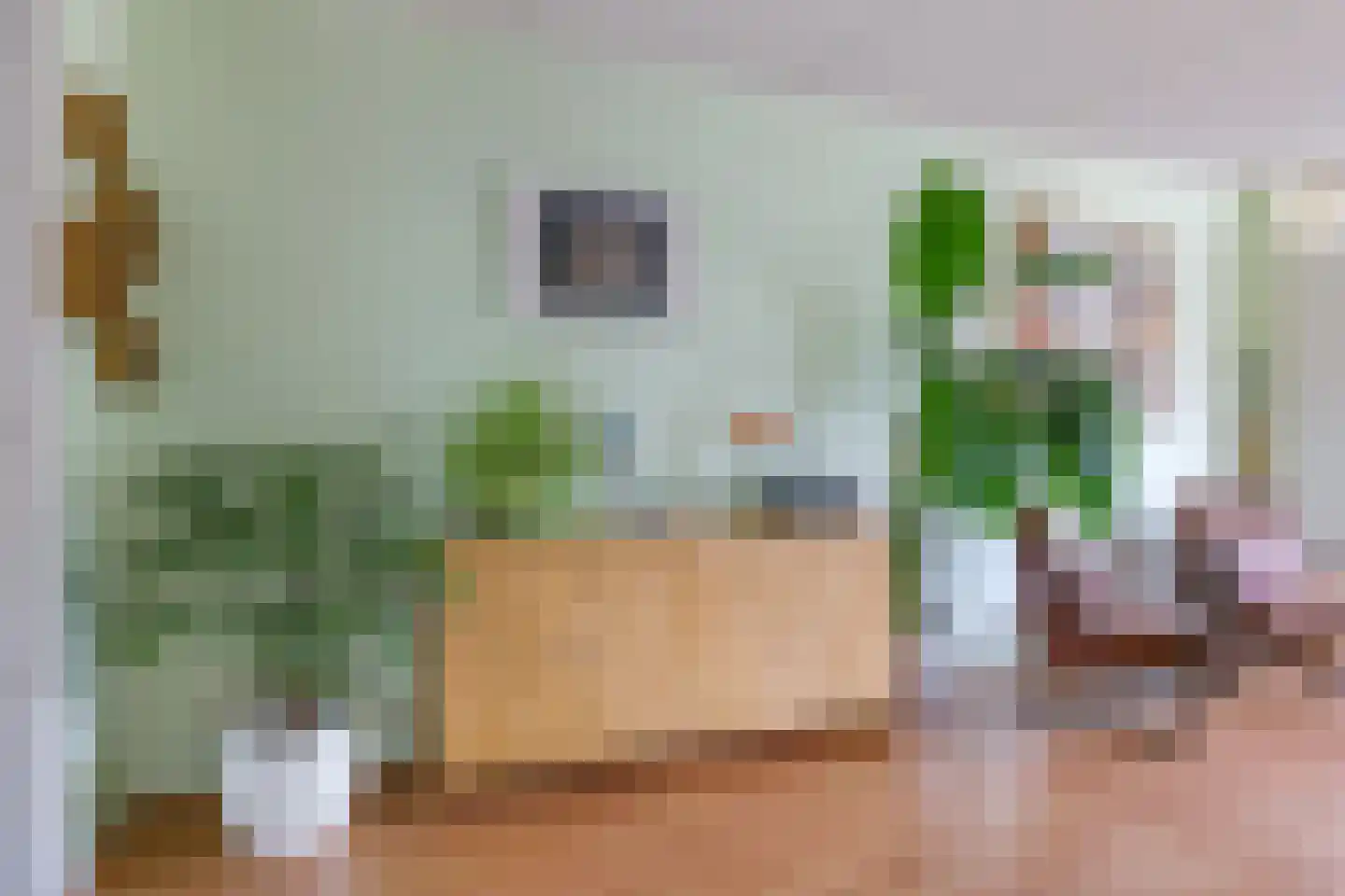 Tarwestraat 42 Halle thumbnail 9